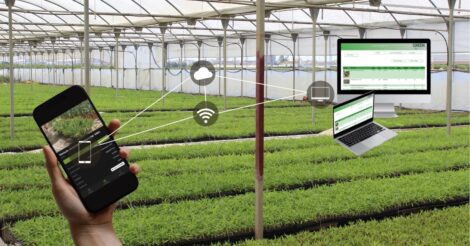 App ara gestionar tu stock